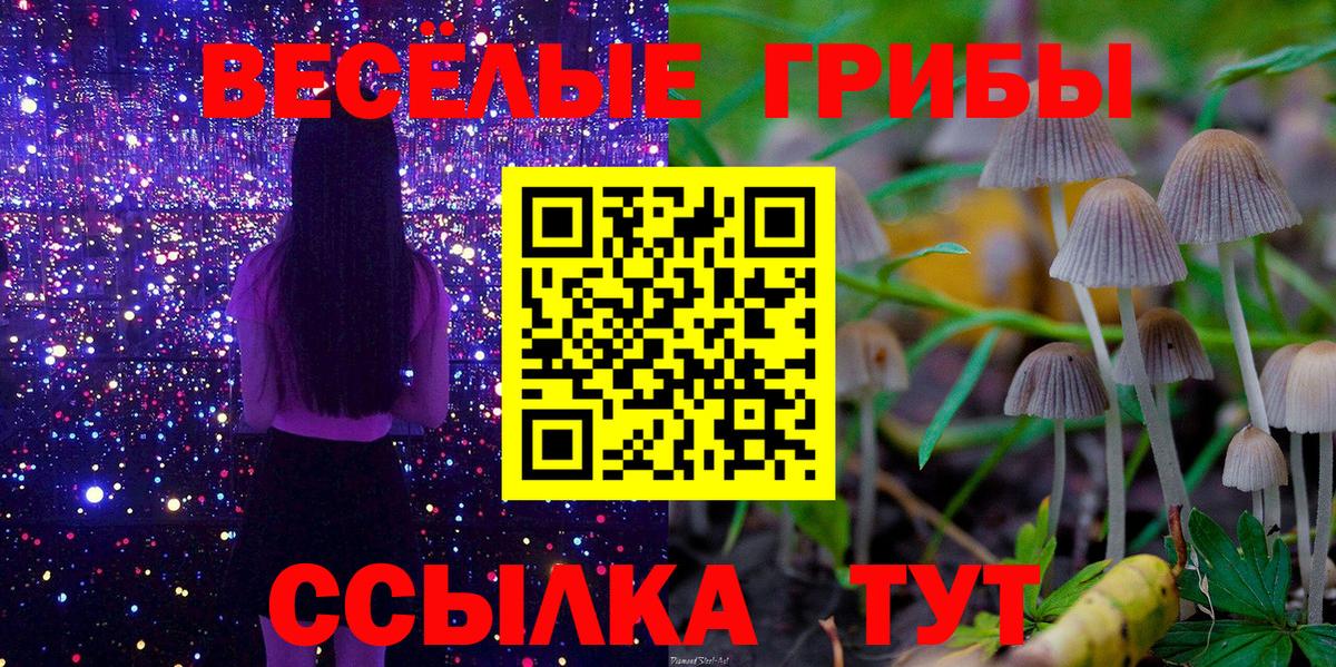 Галлюциногенные грибы GOLDEN TEACHER Ирбит